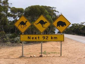 Nullarbor oversteek