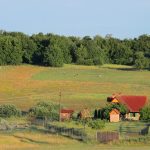 Damherten grazen in de velden rond boerderijgebouwen in Cerovo, Slowakije, in het vroege ochtendlicht met bossen op de achtergrond