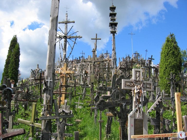 Honderden houten kruisen op de Heuvel der Kruisen (Kryžių kalnas) bij Šiauliai in Litouwen, met blauwe lucht en dennen op de achtergrond