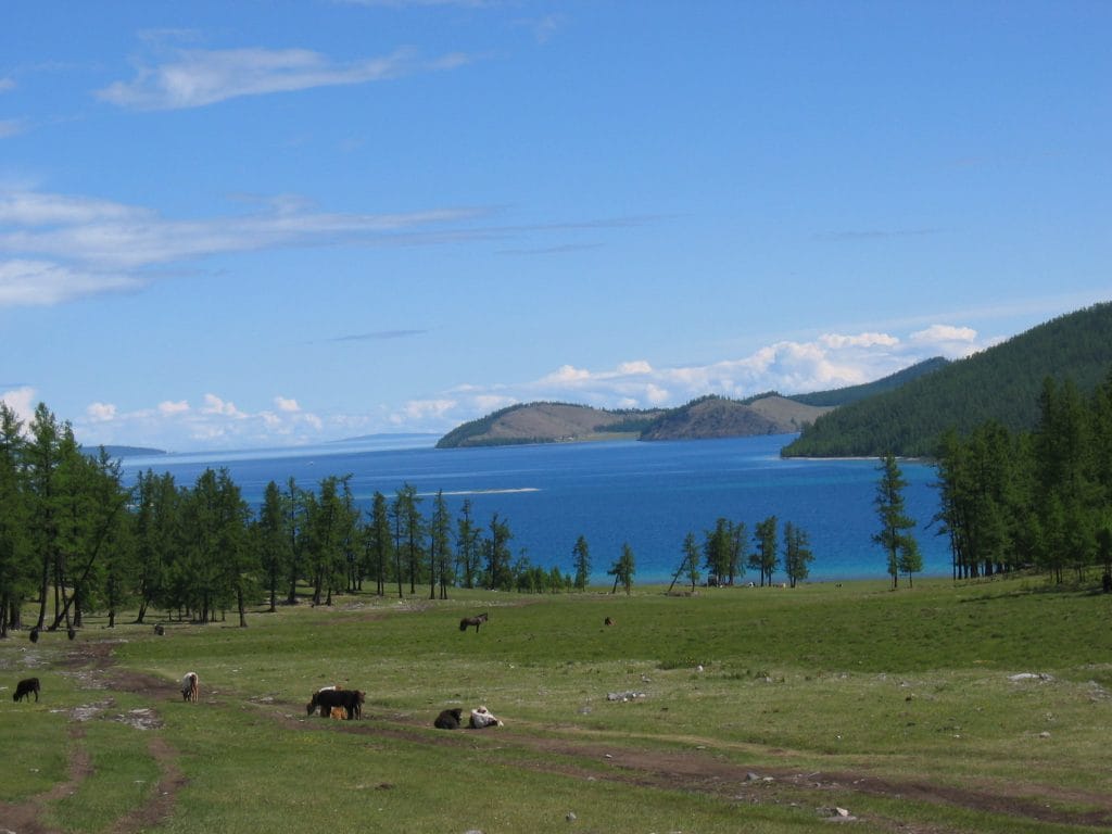 Het turkooisblauw Khövsgöl-meer in Noord-Mongolië omgeven door donkergroene beboste bergen en een heldere blauwe lucht