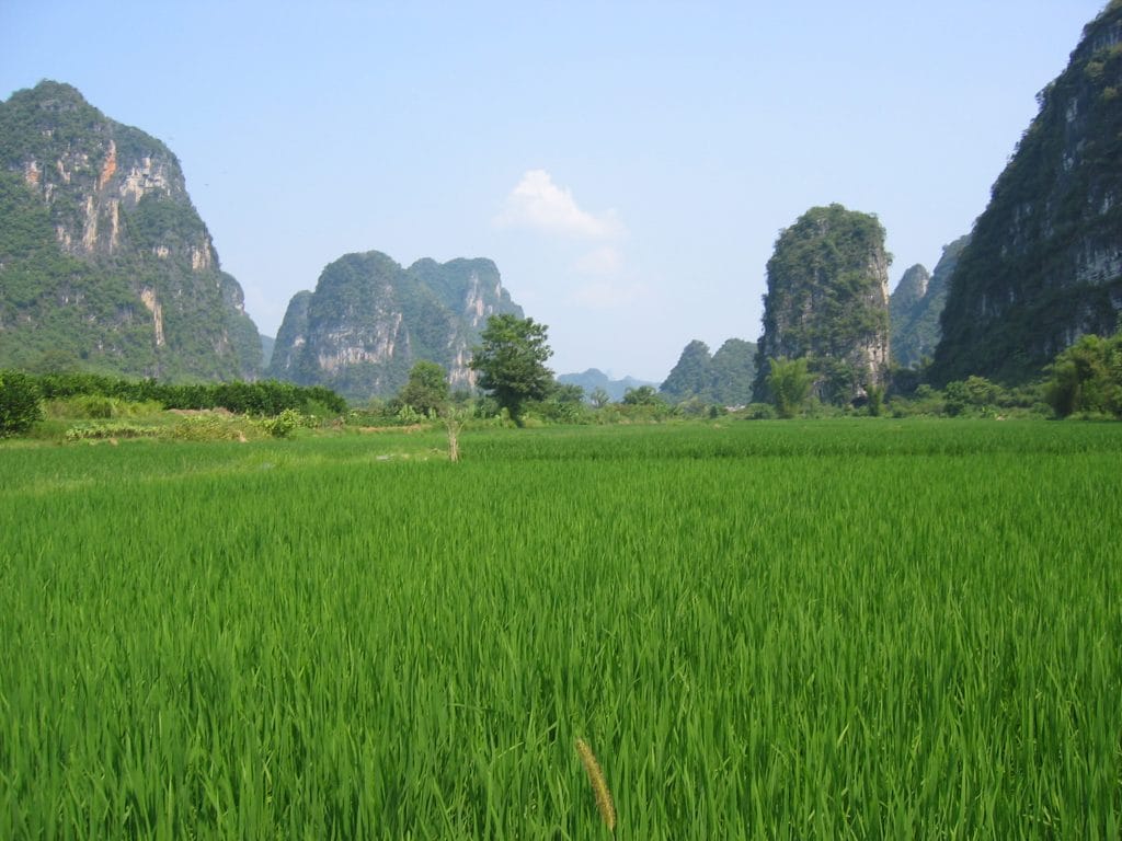 Dramatisch karstlandschap van Yangshuo met steil oprijzende kalksteenrotsen en groene vegetatie in de vallei