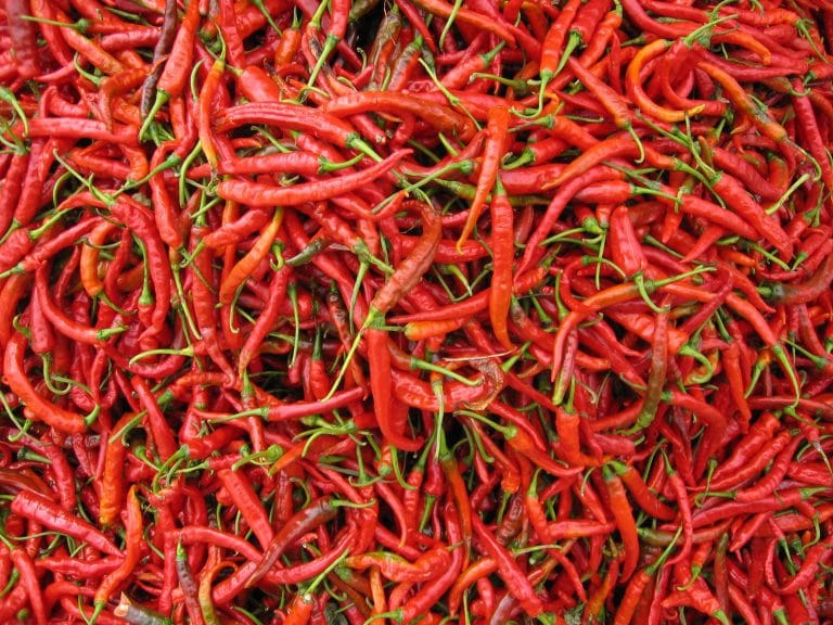 Stapel verse rode chilipepers op de markt in de omgeving van Dali, Yunnan