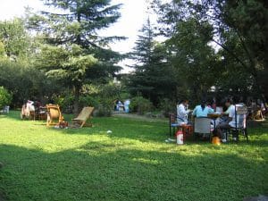 Hoge coniferen in een park bij Dali met een menigte Chinese bezoekers aan de voet van de bomen, Yunnan