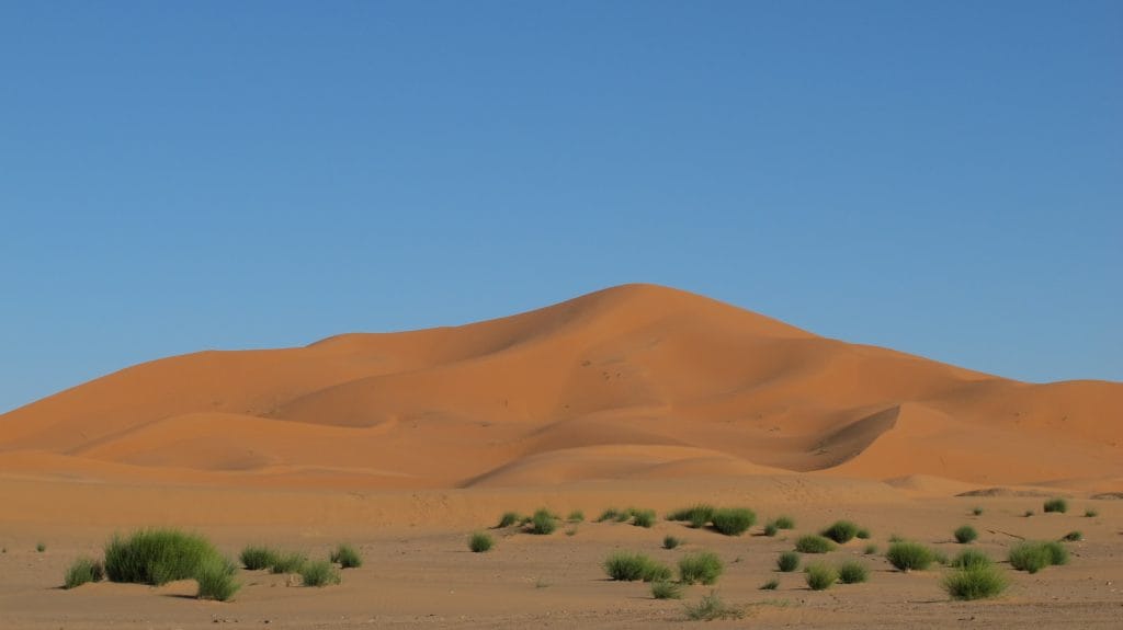 Oranje zandduinen van Erg Chebbi bij Hassilabied in avondlicht met heldere blauwe lucht