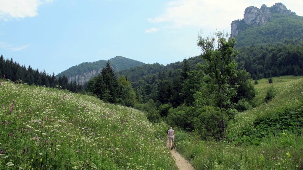 Groen berglandschap met bloemenweide en beboste heuvels onder blauwe lucht bij Stefanova in de Malá Fatra, Slowakije