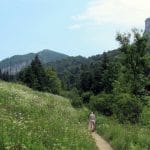 Groen berglandschap met bloemenweide en beboste heuvels onder blauwe lucht bij Stefanova in de Malá Fatra, Slowakije