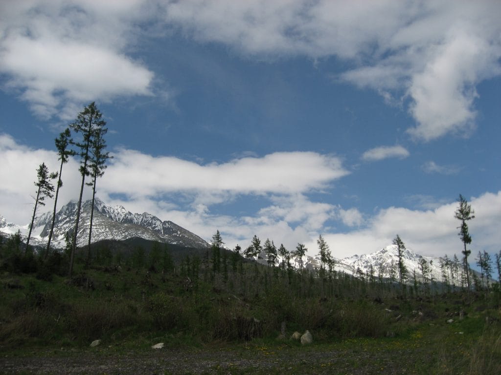 Kale dode dennenbomen silhouet tegen een blauwe lucht met wolken in de Vysoké Tatry, Slowakije