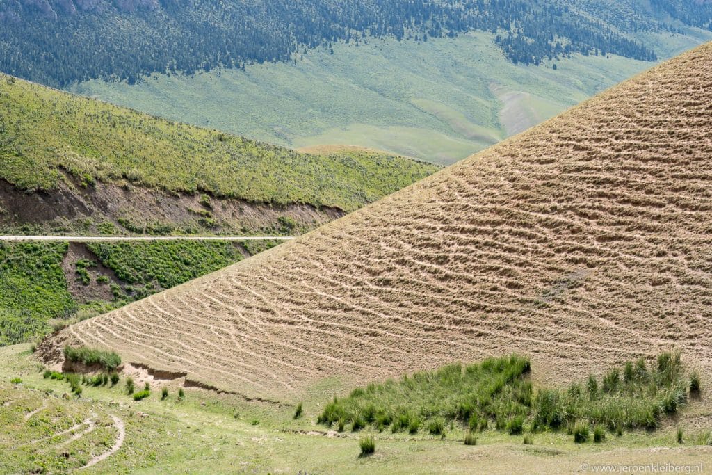 Scherp contrast tussen een bebost groene bergflank en een kale geërodeerde bruine helling in Kirgizistan