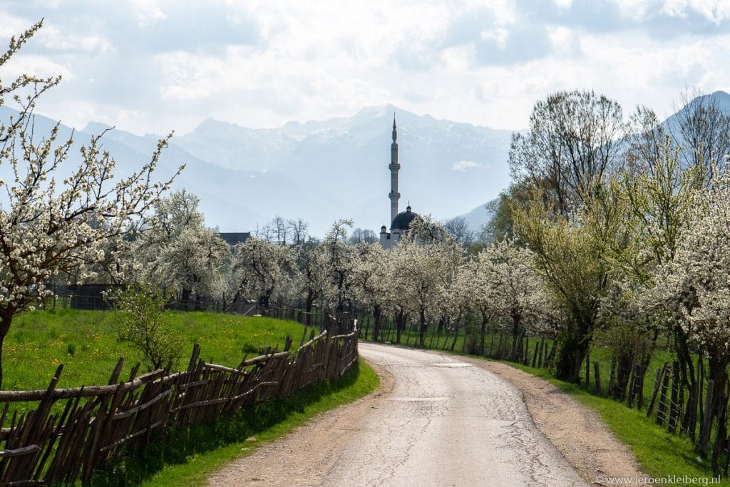 Smal landweggetje in Montenegro in het voorjaar, omzoomd door bloeiende witte bomen en een houten hekwerk, met moskee en bergen op de achtergrond