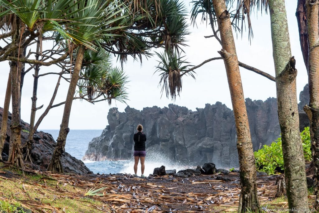 La reunion jeroen kleiberg