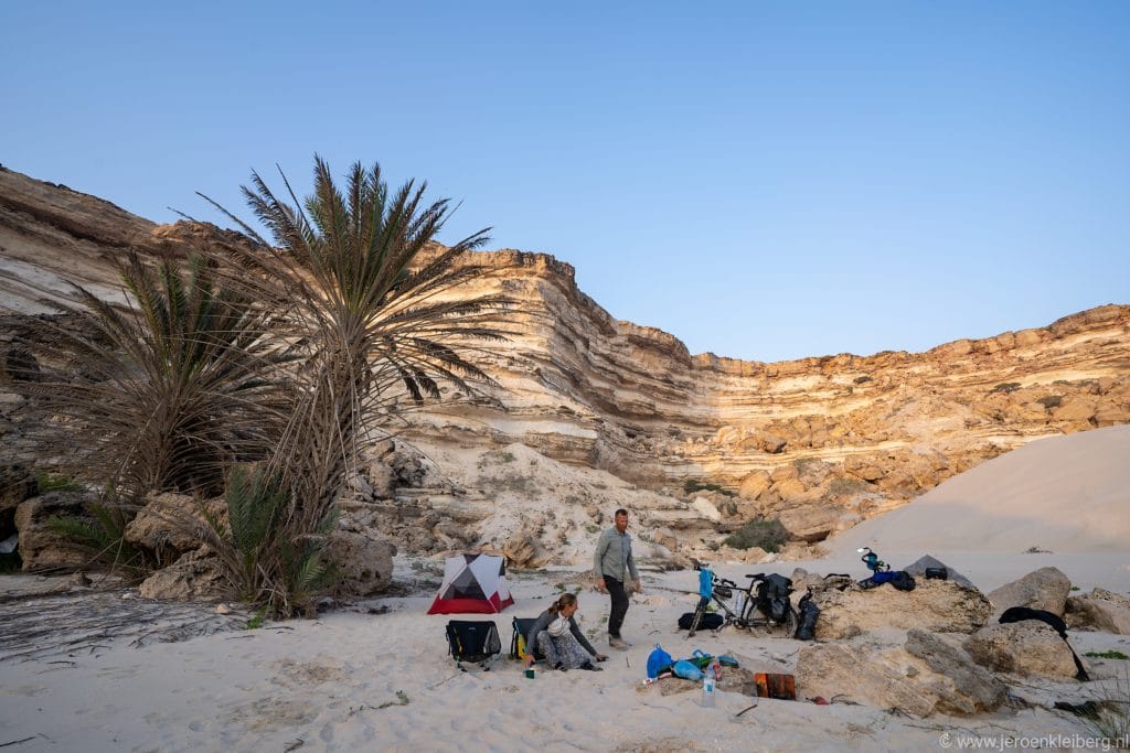 Fietser kampeert in een droge wadi in Oman bij een hoge palmboom en gelaagde kalkstenen kliffen met tent en fiets