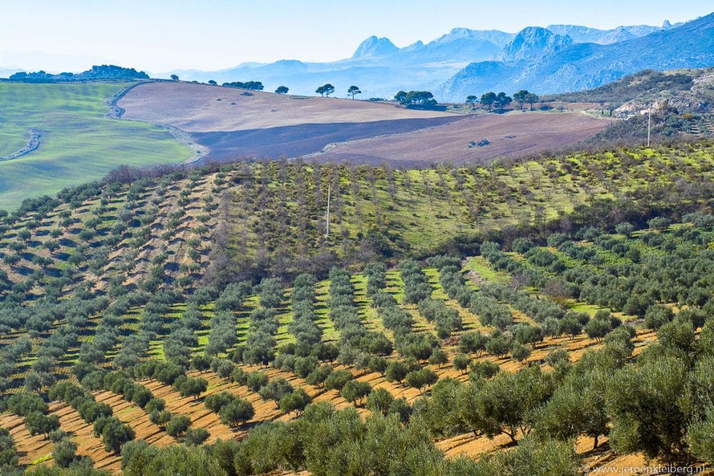 Golvende heuvels met olijfgaarden en akkers in een lappendeken van kleuren bij Periana in Andalusië, Spanje