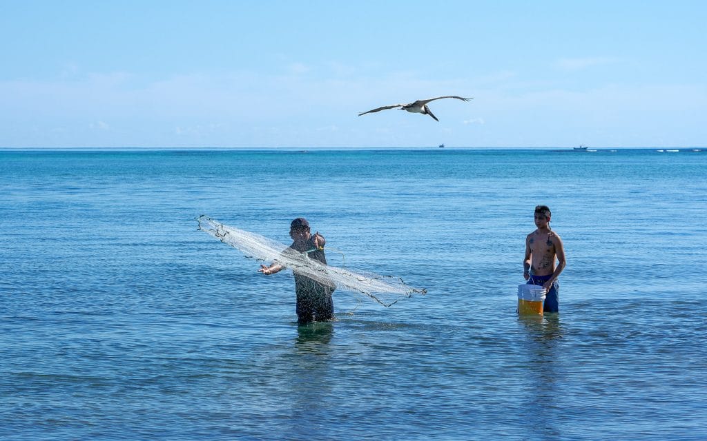 Twee vissers gooien een werpnet in de ondiepe Caribische Zee bij Puerto Aventuras, Mexico, met een vliegende pelikaan