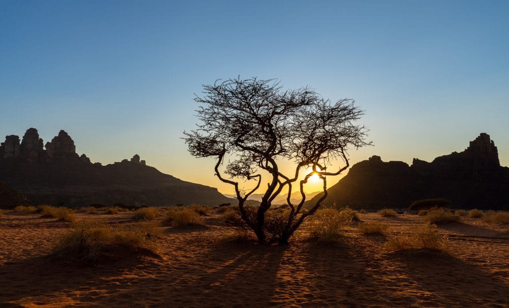 Landschap in de Tabuk-regio van Saoedi-Arabië, het noordwesten van het land nabij de Jordaanse grens, met woestijnvlaktes. Februari 2020.