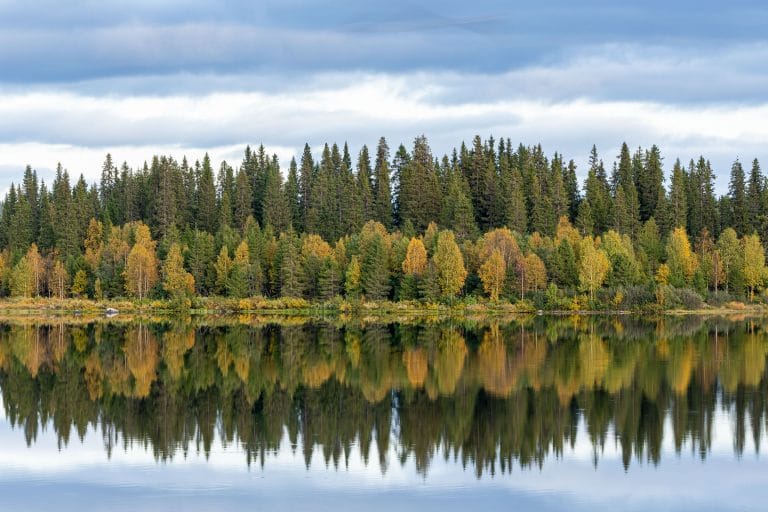 zweden herfst