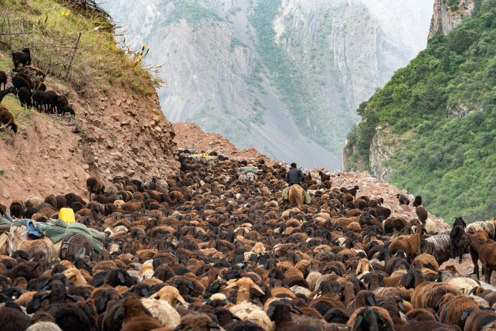 Verkeersopstopping op een bergweg bij Ёфуч in het Districts of Republican Subordination, Tadzjikistan, juni 2018