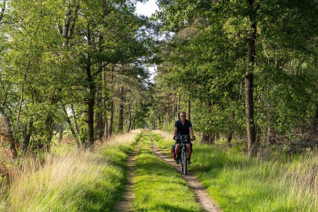 Landelijk landschap bij Esbeek in de gemeente Hilvarenbeek, Noord-Brabant, in de bosrijke Kempen-regio nabij de Belgische grens. Mei 2020.