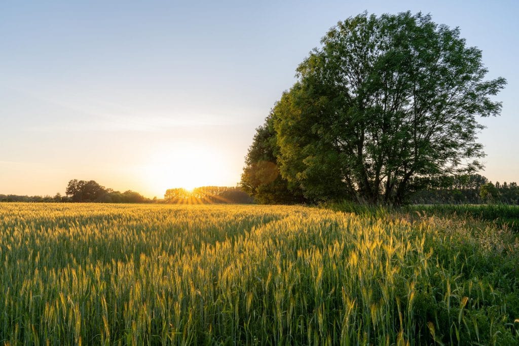 Zonsondergang nederland