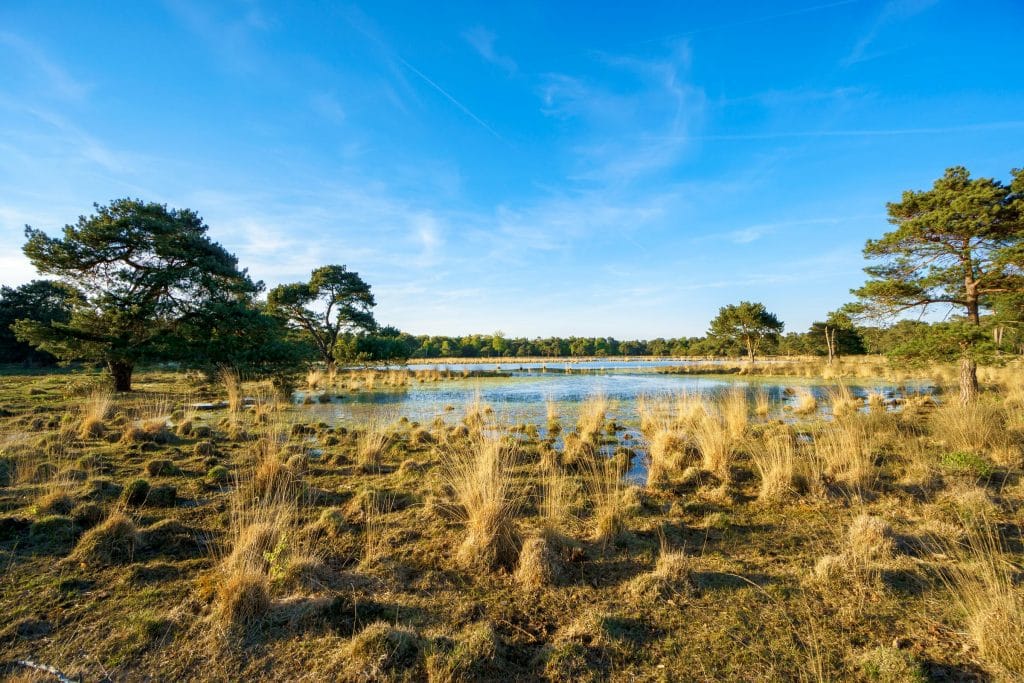 Vrijkampeerplaats bij Strijbeek in de gemeente Alphen-Chaam, Noord-Brabant, in de bossen ten zuiden van Breda. Mei 2016.