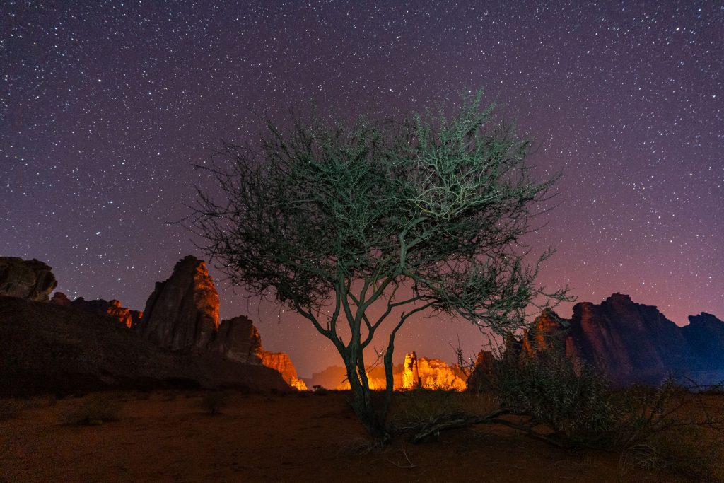 roadtrip Saoedi-Arabië