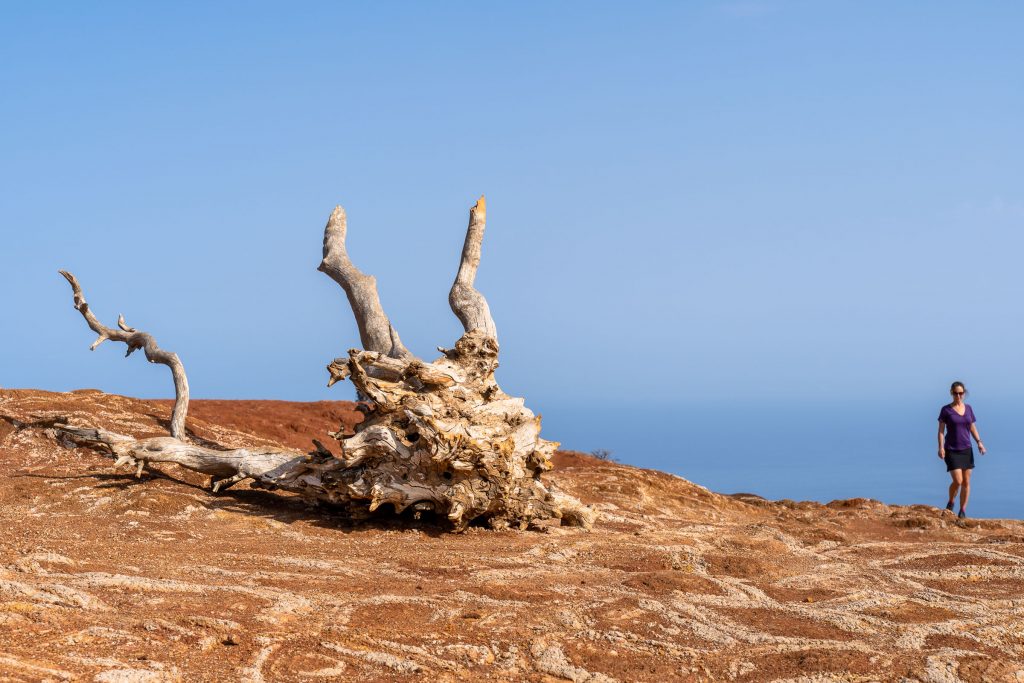 La Gomera fotografie