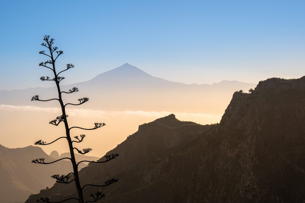 El Teide Tenerife