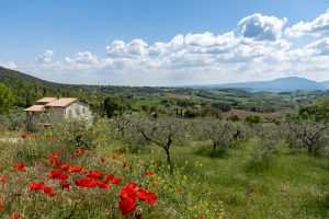 landschap met bloemen Italie