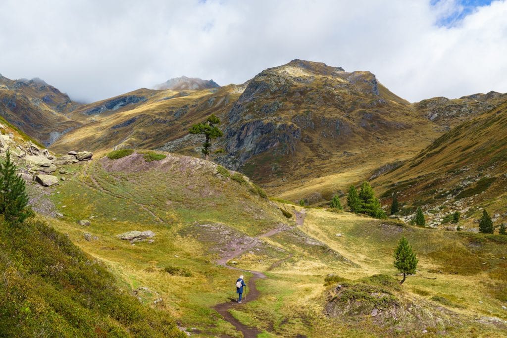 Breed open alpenlandschap in de Franse Alpen met een wandelpad, verspreid staande bomen en rotsige bergtoppen