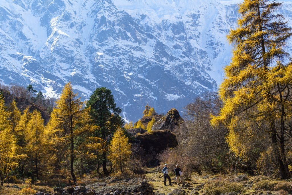 Besneeuwd bergpad op het Manaslu Circuit in Nepal met zicht op witte toppen en ijzig terrein