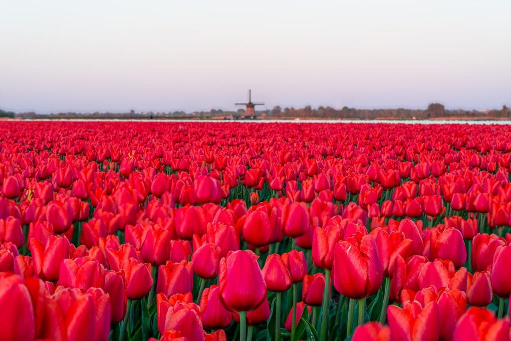 Dorpsgezicht van Egmond aan den Hoef in Noord-Holland met karakteristiek landschap in april 2020
