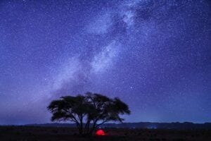Nachtelijke sterrenhemel boven een tent en een acaciaboom in de woestijn.