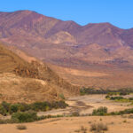 Droog landschap met bergen op achtergrond