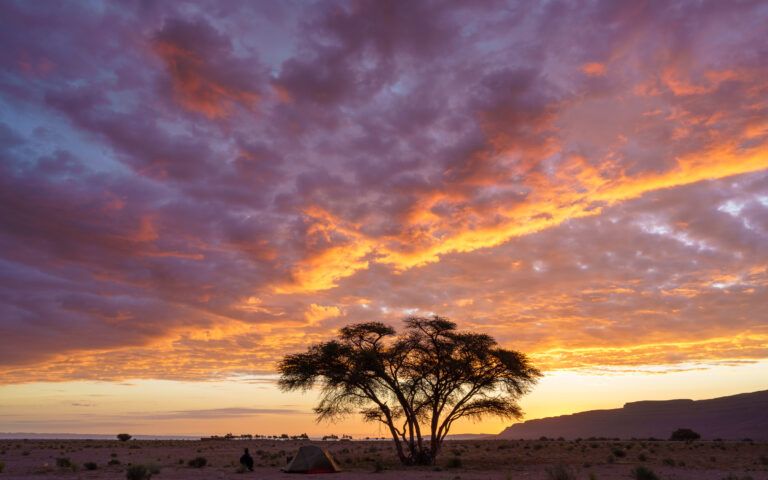 Zonsopkomst in de woestijn met een silhouet van een acaciaboom en een tent.