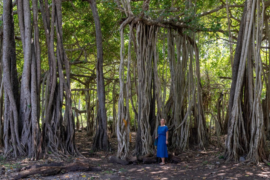 Vrouw in een blauwe jurk staat tussen de luchtwortels van een gigantische banyanboom in Sri Lanka, omringd door een dicht bos met groene bladeren.