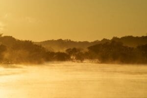 Panoramisch beeld van de mistige Kavango-rivier bij zonsopgang in Namibië, alles in warme goudoranje kleuren met boomsilhouetten in de verre ochtendnevel