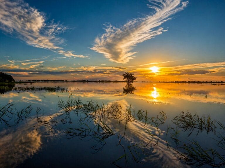 Solitaire boom in silhouet weerspiegeld in een overstroomd vlak bij zonsondergang met gouden cirruswolken in zuidelijk Afrika