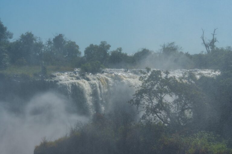 Brede watervalstroom van Victoria Falls gezien door tropische bomen en opspattende nevel, met blauwe lucht boven het regenwoud