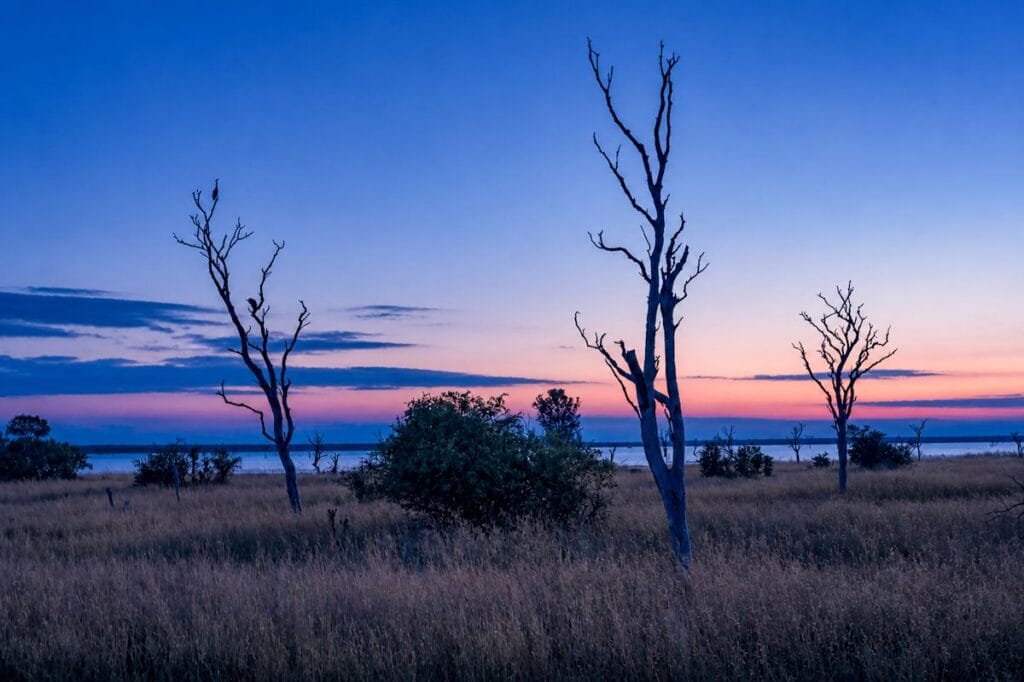 Kale bomen steken in silhouet uit tegen een paars-roze schemering boven Lake Kariba in Zimbabwe