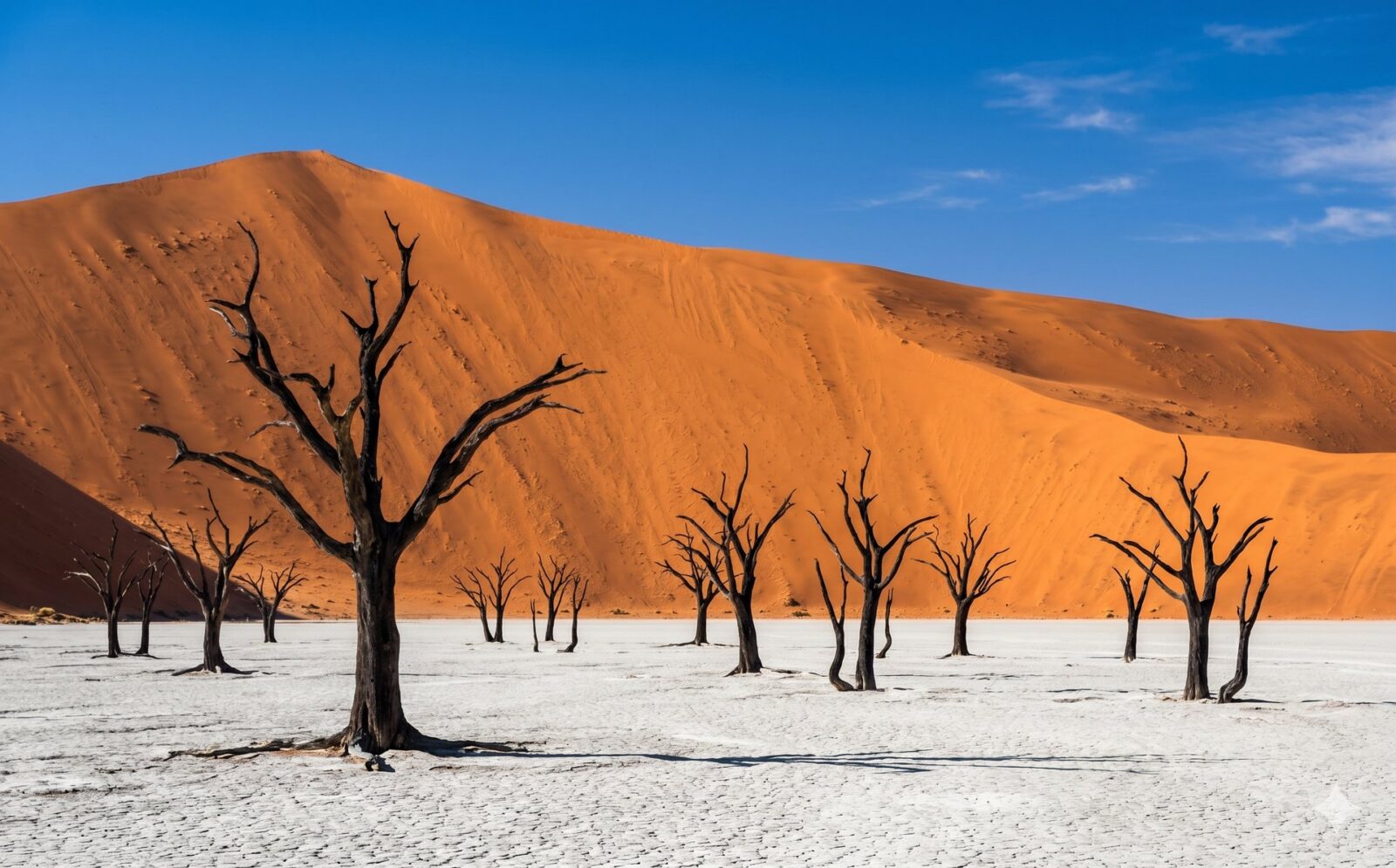 Witte kleipan van Deadvlei met dode bomen tegen de oranje flank van Big Daddy