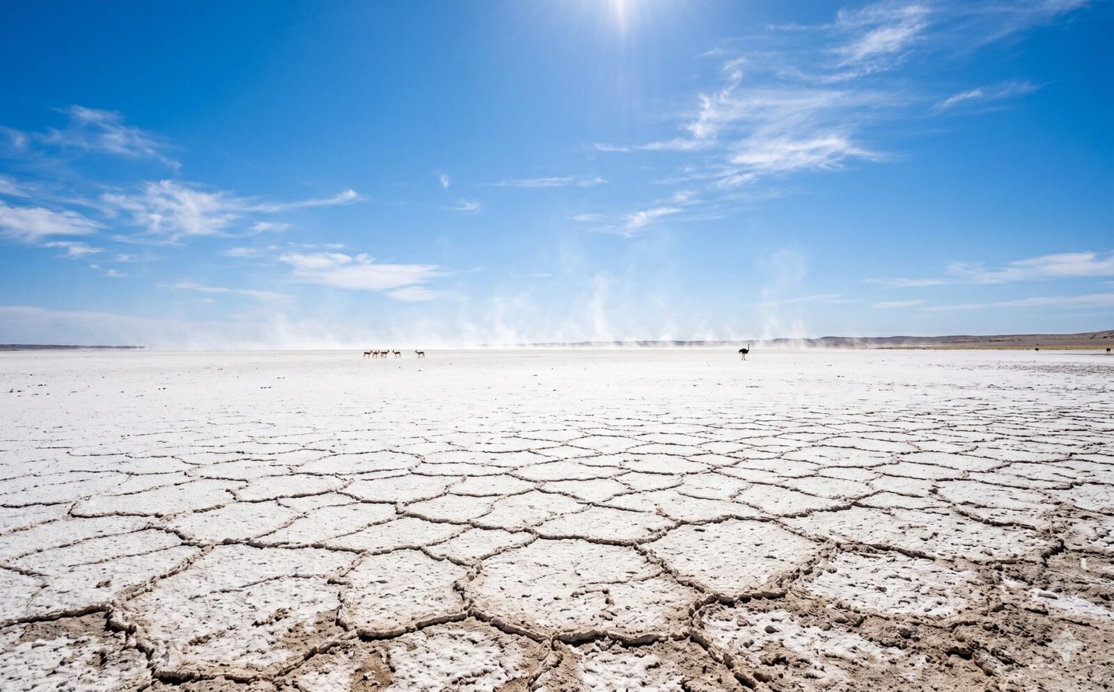 De uitgestrekte witte zoutpan van Etosha tot aan de horizon