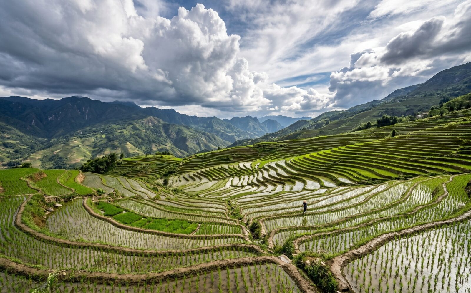 Groene terrasvormige rijstvelden in zuid-China onder een lucht met opbouwende moessonwolken