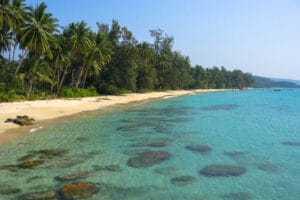 Strand met palmen en helder ondiep water op Ko Kut, Thailand