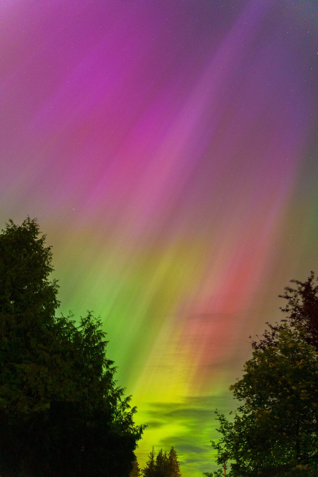 Noorderlicht in volle kleur boven Campbell River, Vancouver Island