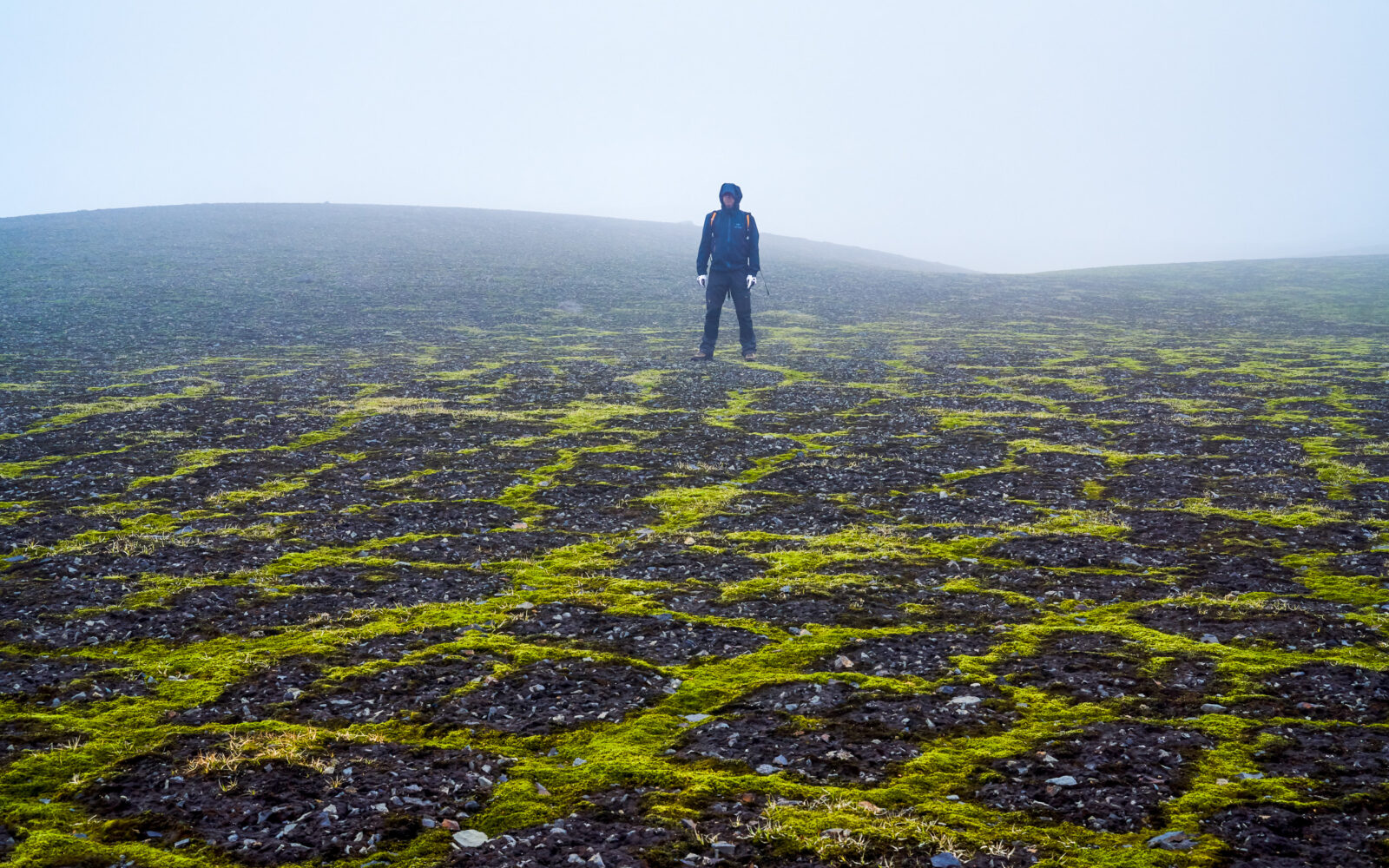 Wandelaar in de mist op het mosveld boven Þakgil