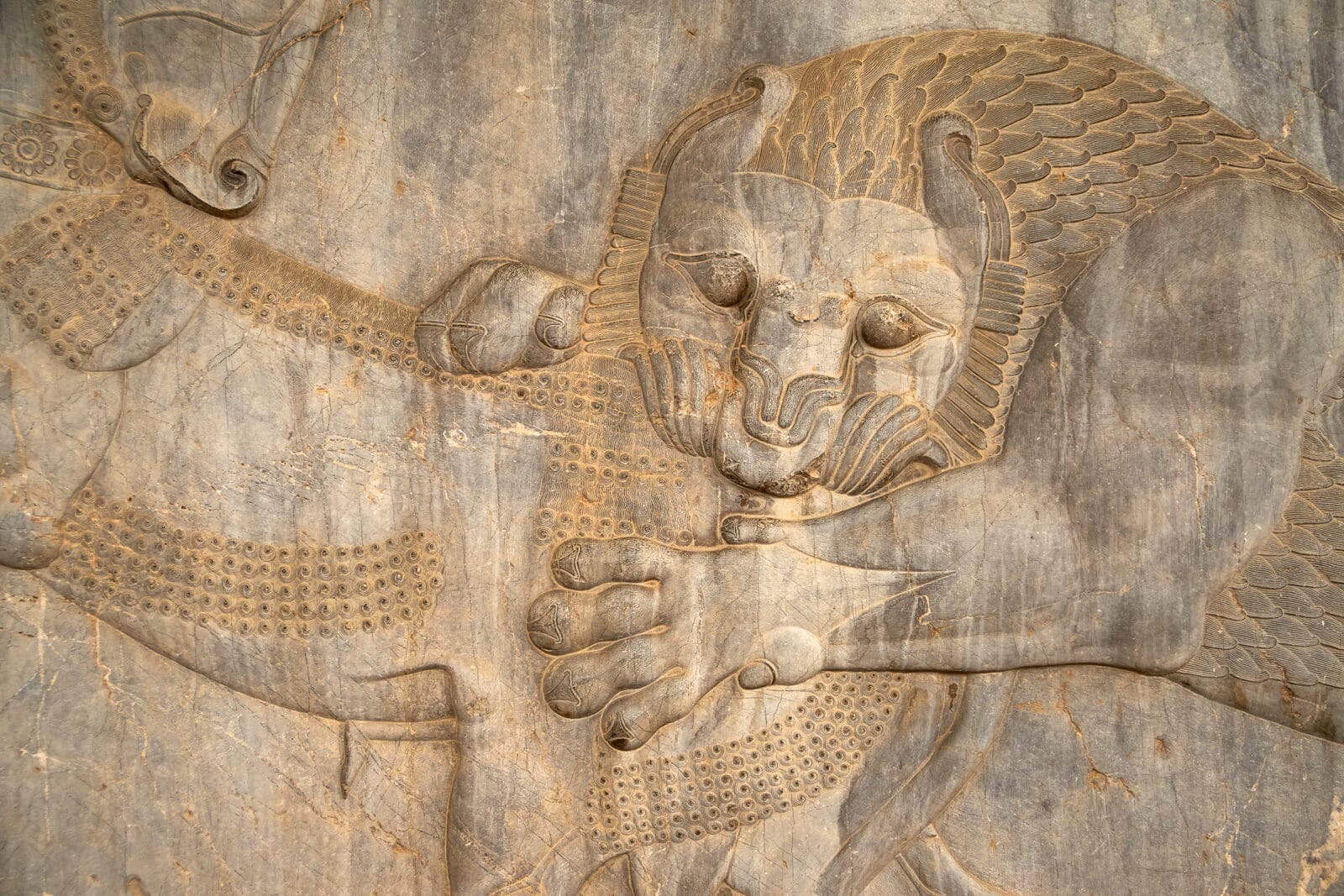 Reliëf van een leeuw die een stier aanvalt in Persepolis