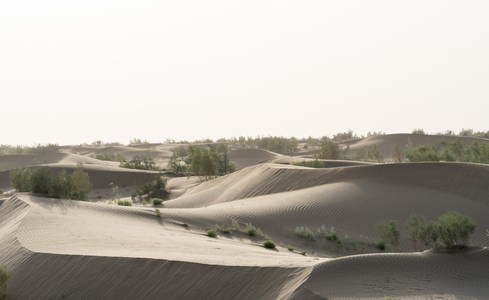 Golvende duinen in de Karakum op weg naar Turkmenabat