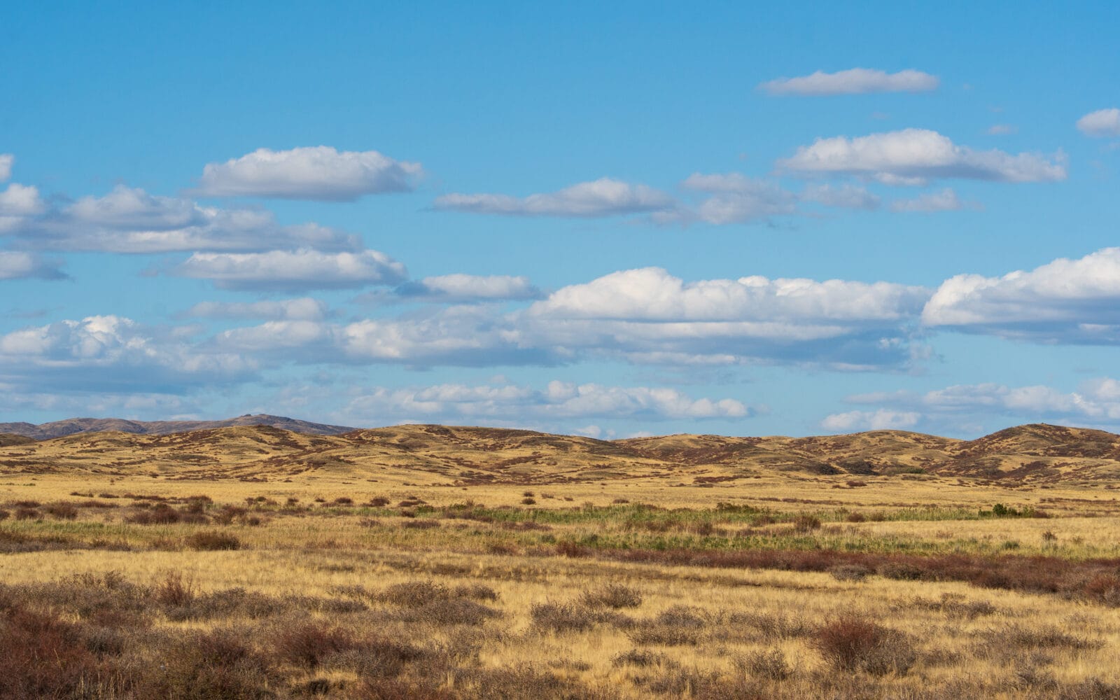 Gele heuvels onder een wijde hemel in het district Ajagoz