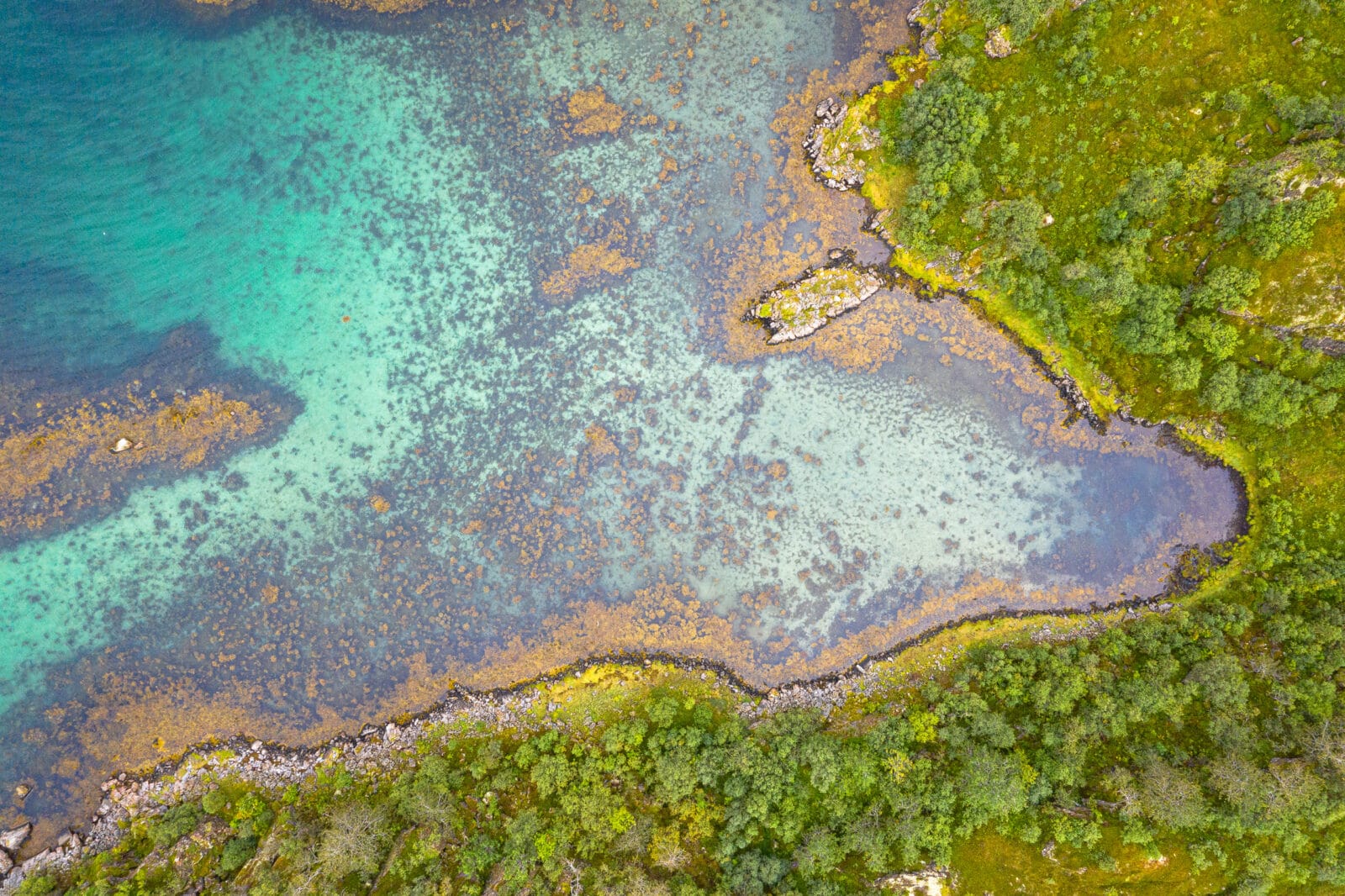 Turquoise water langs de bosrand en rotskust van Bø op de Vesterålen, van boven