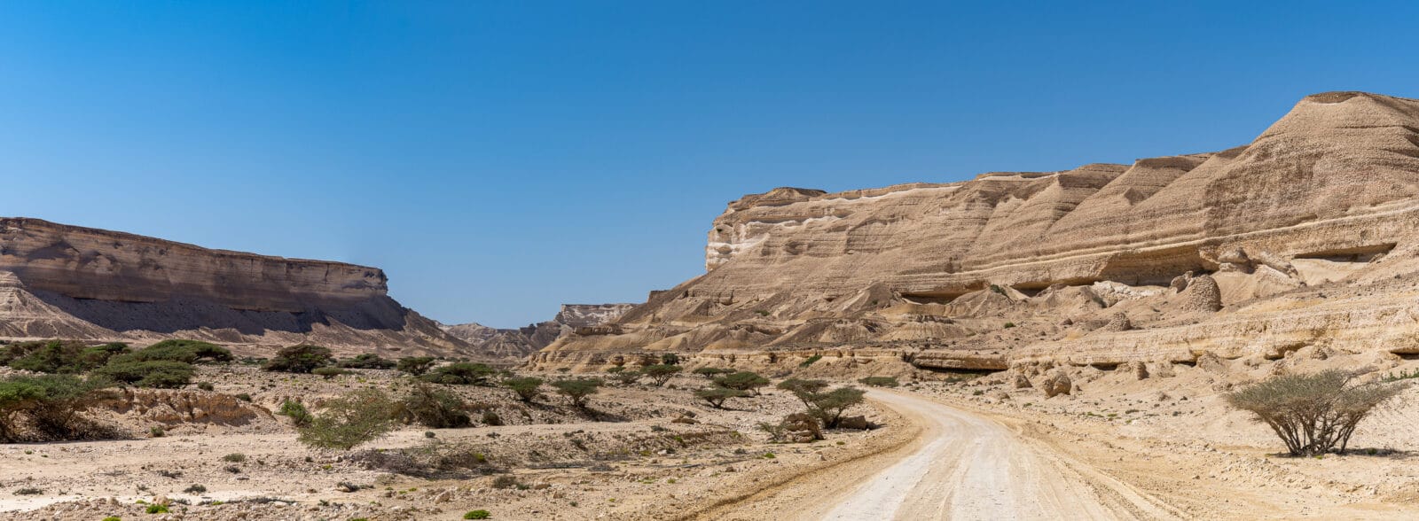 Kronkelweg door de woestijnkloof bij Shuwaymiyah
