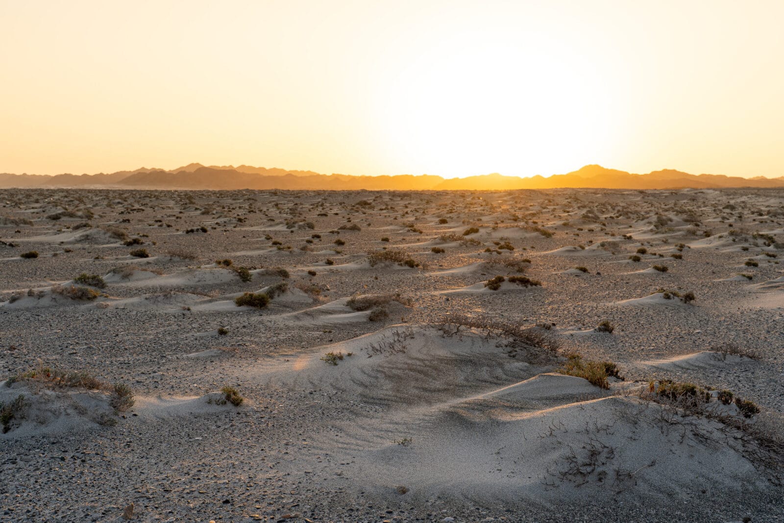 Woestijnlandschap in zacht avondlicht op Masirah